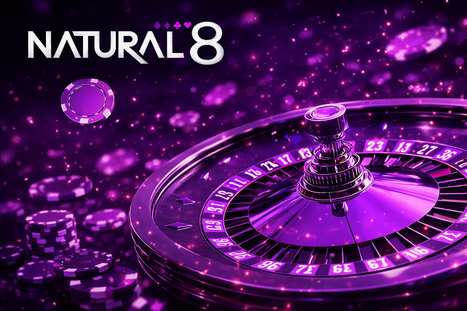 About Natural8 banner